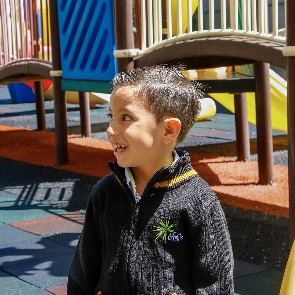 Actividades de Preescolar Cedrus