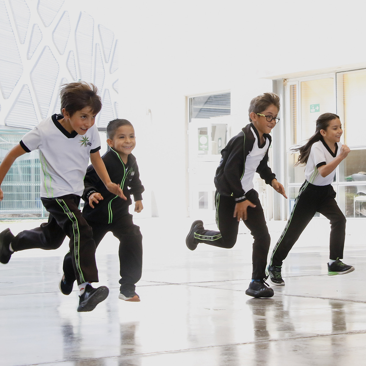 Actividades de Primaria Cedrus