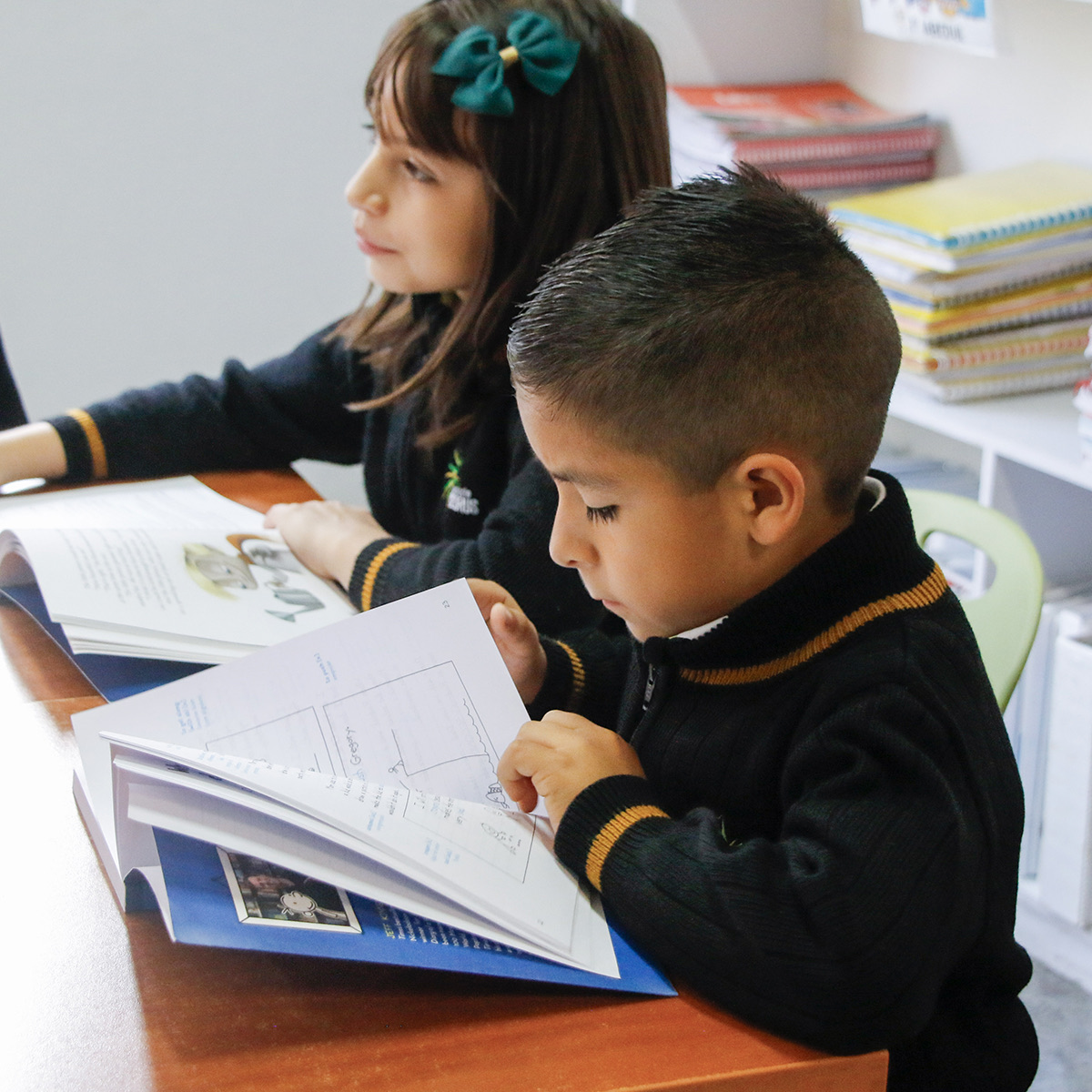 Experiencias de Primaria Cedrus