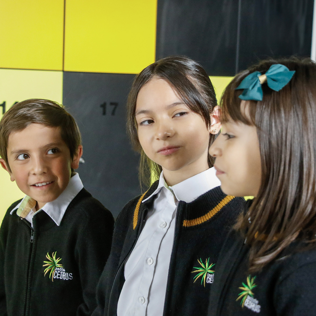 Educación en Primaria Cedrus